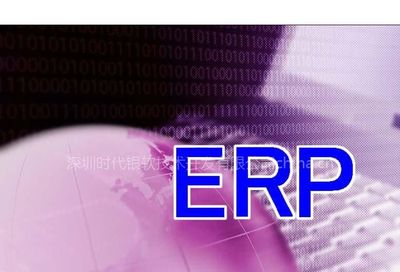 【提供中小企业ERP定制软件开发服务图片】提供中小企业ERP定制软件开发服务